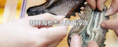 ​新鲜海参怎么弄再冷冻