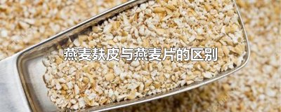 ​燕麦麸皮与燕麦片的区别