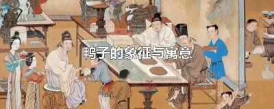 ​鸭子的象征与寓意