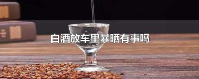 ​白酒放车里暴晒有事吗