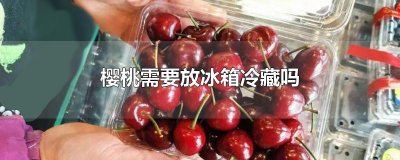 ​樱桃需要放冰箱冷藏吗