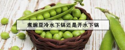 煮豌豆冷水下锅还是开水下锅(豌豆焯水用冷水还是热水)