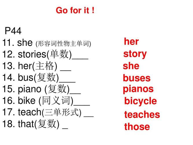 bus的复数是什么（词汇搭配说明）