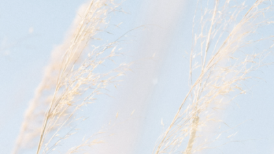 简单不简约是什么意思,简约是什么意思?简单是什么意思?一样吗?