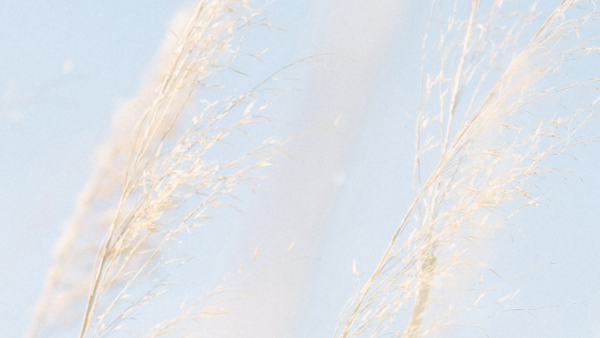 简单不简约是什么意思,简约是什么意思?简单是什么意思?一样吗?图1