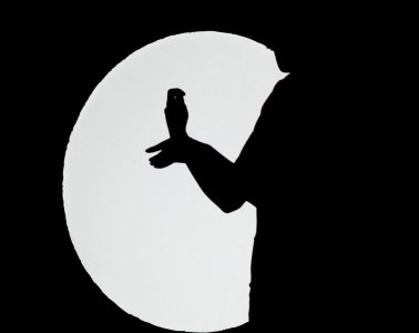 ​手影(手影图片 简单做法)