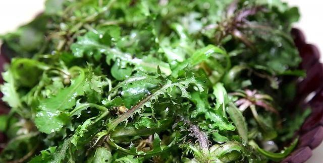 农村田里一野菜,味道极苦却遭人喜欢,现在正当季