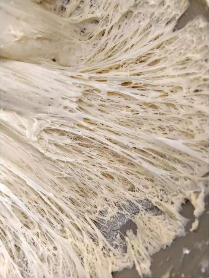 你有没有密集恐惧症?看完这组图就知道了