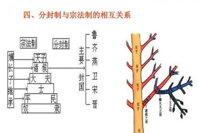 ​分封制与宗法制的关系,1、宗法制和分封制关系如何?