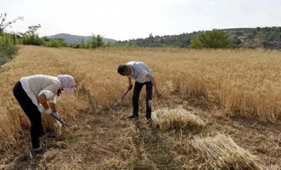 我和岳父的那一夜(二)