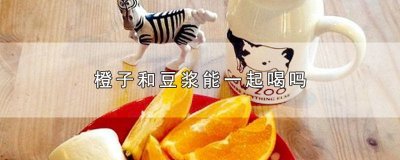 ​豆浆能和橙子一起吃吗? 豆浆能和橙子一起吃吗