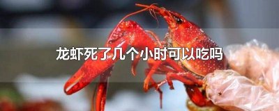​龙虾死了几个小时可以吃吗视频大全 龙虾死了几个小时能吃