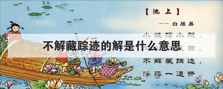 不解藏踪迹里的解的意思（了关于不解藏踪迹里的解的意思）