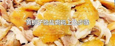 黄栀子怎么给盐焗鸡上色 栀子怎么给盐焗鸡上色