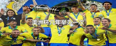 美洲杯哪一年 美洲杯杯几年一届?