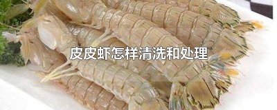 皮皮虾怎样清蒸比较好吃 清蒸皮皮虾做法窍门