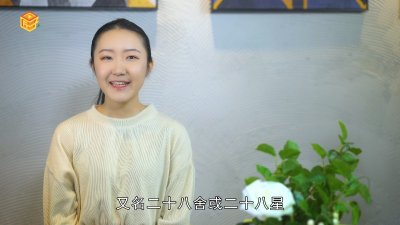 老黄历二十八星宿解释