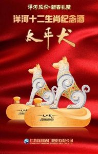 洋河中国梦成功9