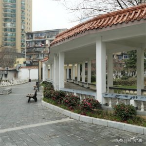 ​小南湖公园-武汉市内最小的城中湖公园