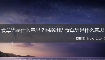 什么叫食草男