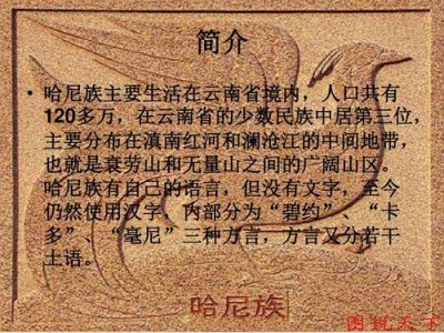 ​关于哈尼族的资料（关于哈尼族的资料简介）