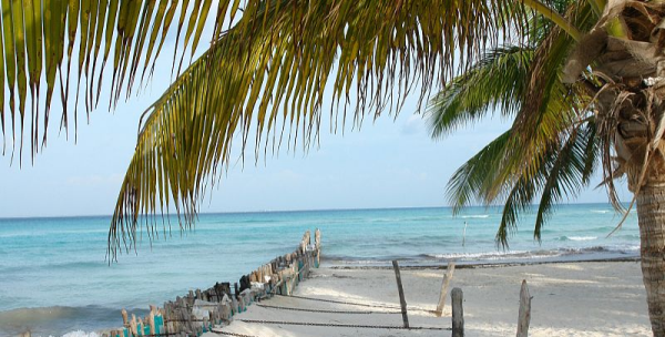 中国面积最大的省份,中国面积最大的省份是哪里?图5