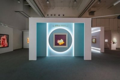 ​茅台酒厂白金鉴赏级价格是多少_茅台集团白金鉴赏酒52度