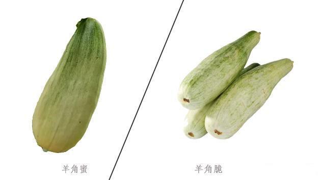 羊角蜜、羊角脆怎么区分？这4招，保你挑到真羊角蜜，又香又甜