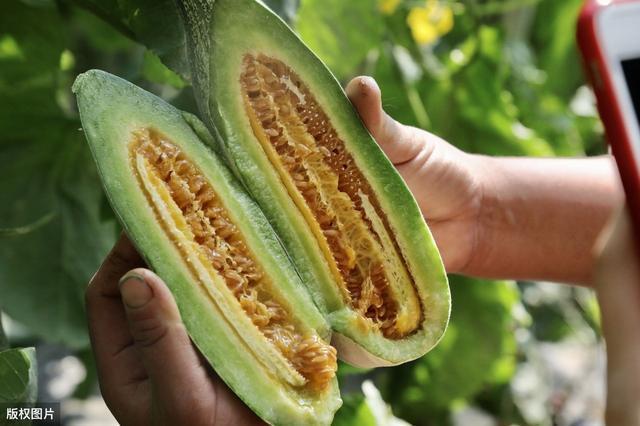 羊角蜜、羊角脆怎么区分？这4招，保你挑到真羊角蜜，又香又甜