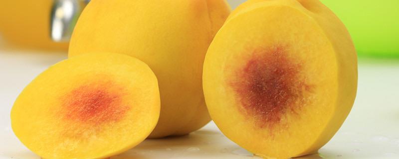 生活上海的特色水果是什么 上海产的特色水果1