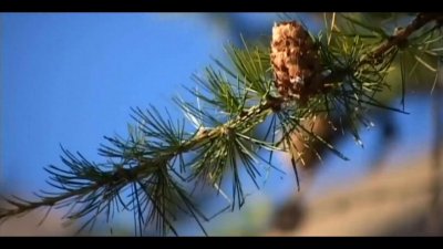 一光年是多远?也许是人类永远也想象不到也达不到的距离。