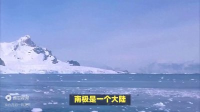 涨知识:南极和北极有什么不一样的地方?