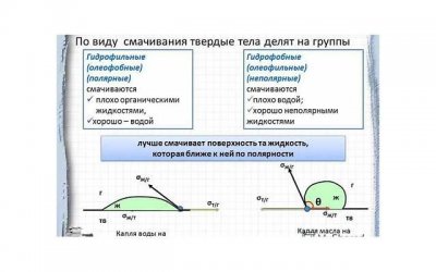​喜羊羊与灰太狼真人版（真人版究竟有多尴尬）