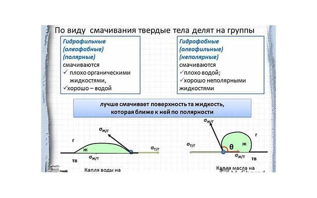 喜羊羊与灰太狼真人版（真人版究竟有多尴尬）