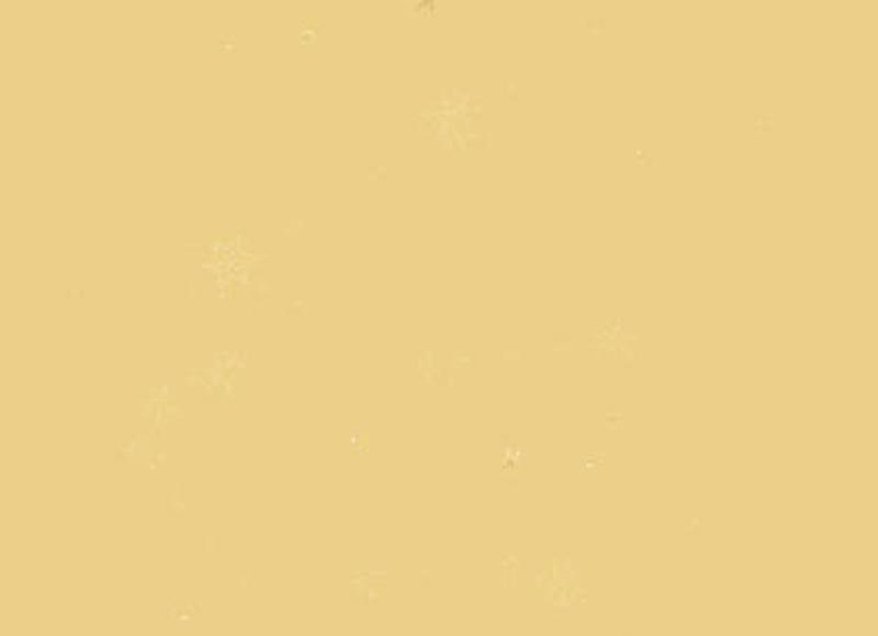 双子座命运： 做一个有勇气的人，掌控命运；