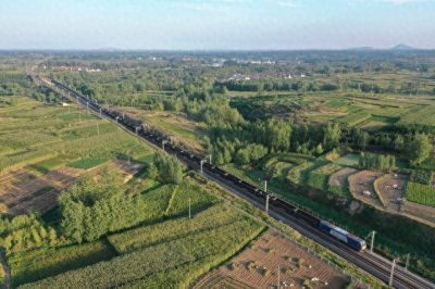 ​山东莒南县28个政府部门