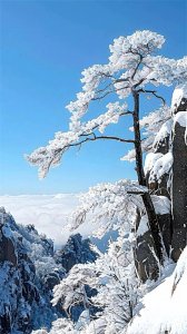 ​中国冬季不可错过的七大旅游胜地，数数你去过几个？