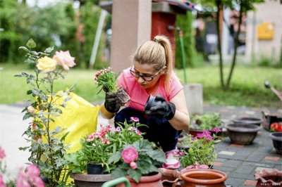 ​园艺师怎么考？最新报考政策是什么？