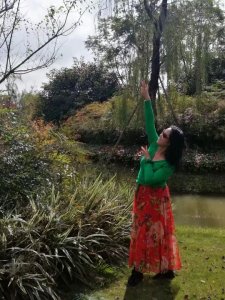 ​什么是生活？