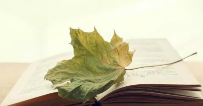 ​真正城府很深的人，都有这四个特征