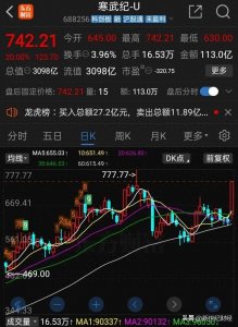 ​寒武纪：市值狂飙3000亿，这芯片公司到底在玩什么黑科技？