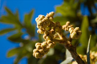 ​春天的太阳堪比灵药？晒太阳的四大好处，你应该早知道