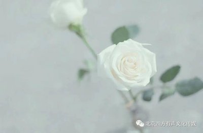 ​你知道1月14日是什么情人节吗？