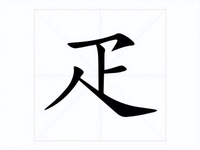 ​疋字怎么读，是什么意思？疋作部首时好多人读得不对