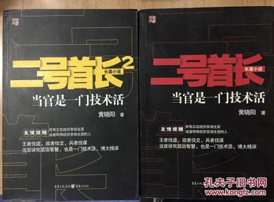 ​反复品味的官场风云佳作——《二号首长》