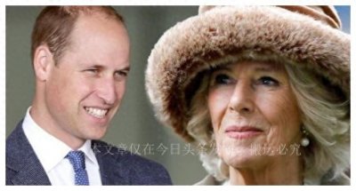 ​威廉王子野心勃勃，已经成为王室实际统治者，卡米拉彻底被架空
