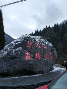 ​成都鸡冠山一夜“白头”市民赏雪打拥堂  交警：冰雪路面已实施临时交管