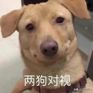 ​文案｜可爱又调皮的自动回复文案