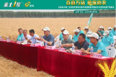 ​增收240000元，亲土1号药肥让小麦种植大户乐开花