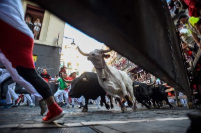 ​（外代一线）奔牛节